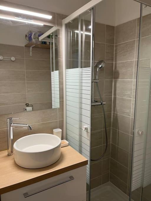 La Bartavelle - Petit Duplex Avec Balcon A Proximite Des Pistes Apartment